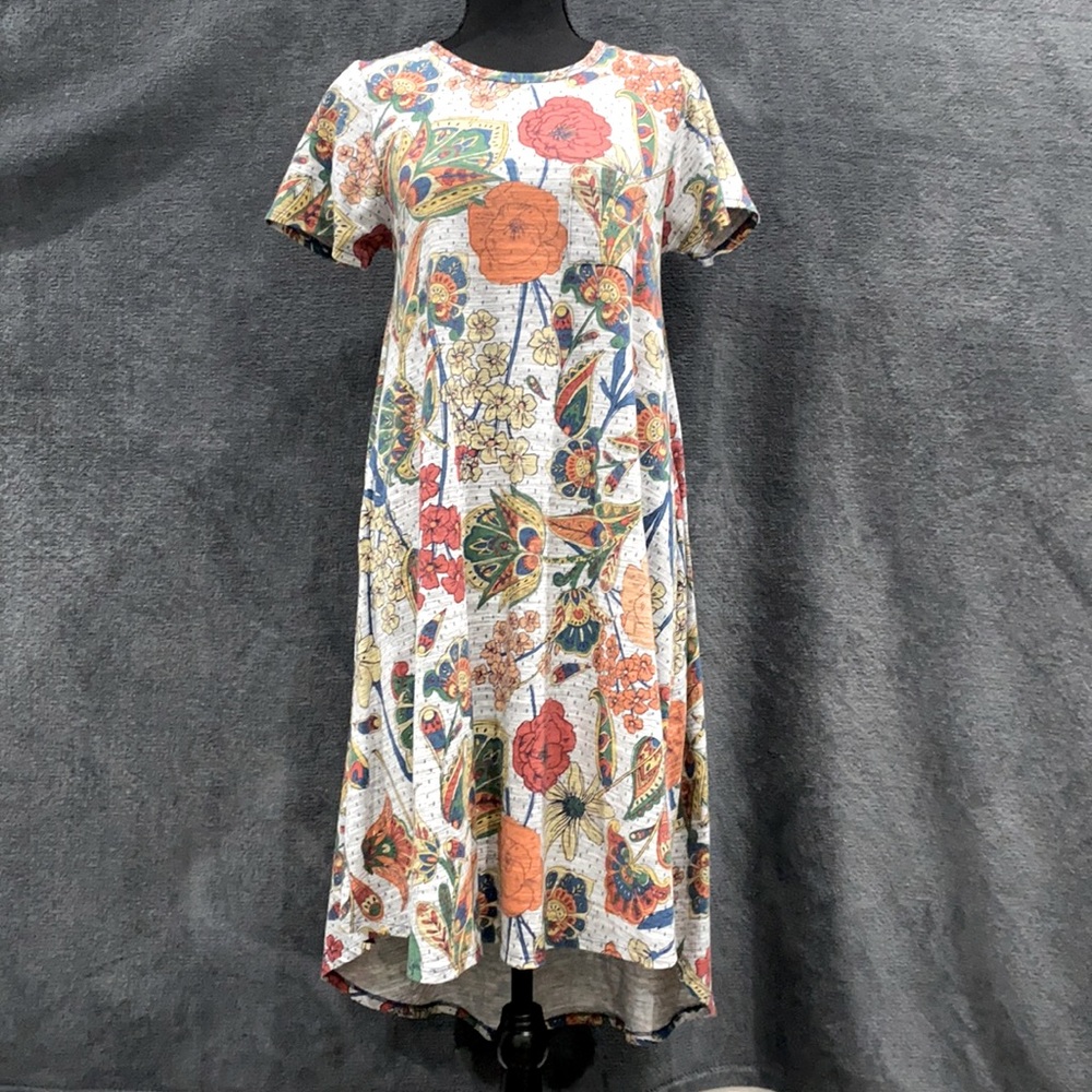 Beautiful fun Lularoe dress